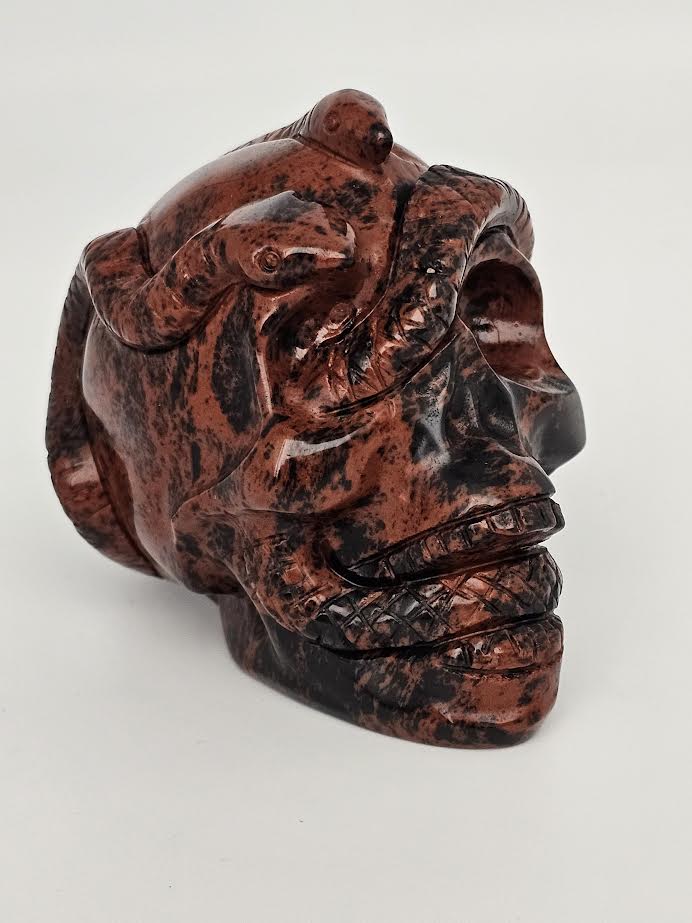 Obsidian Mahogany Skull with Snake