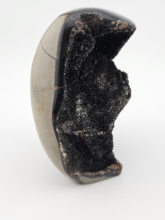 Septarian Dragon Egg