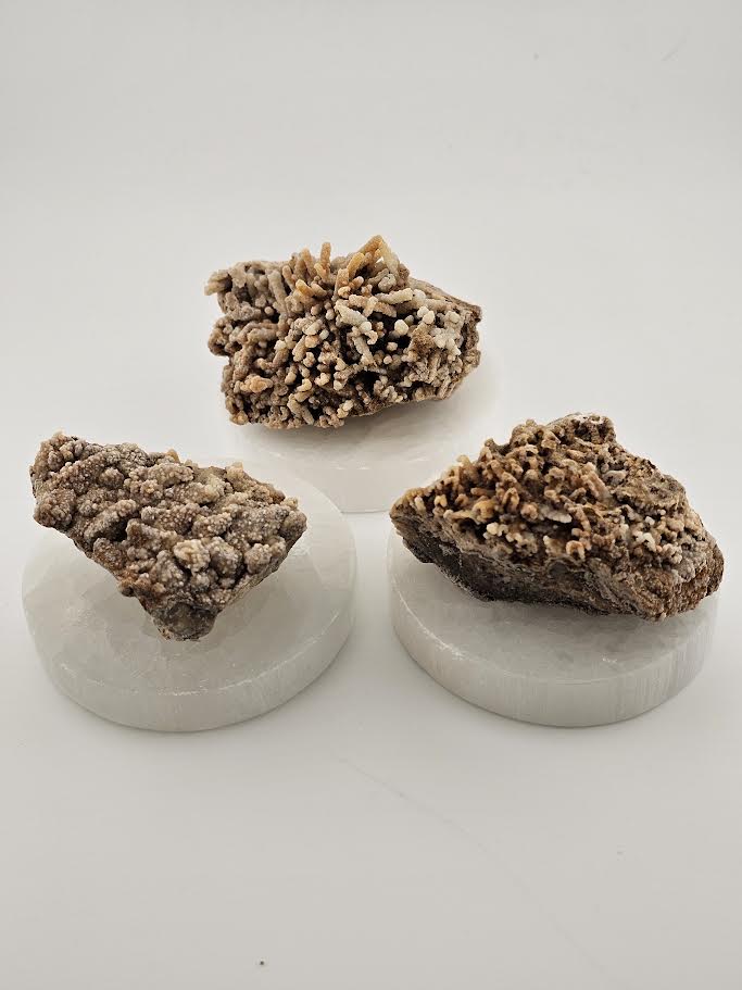 Aragonite Small Clusters - Morocco