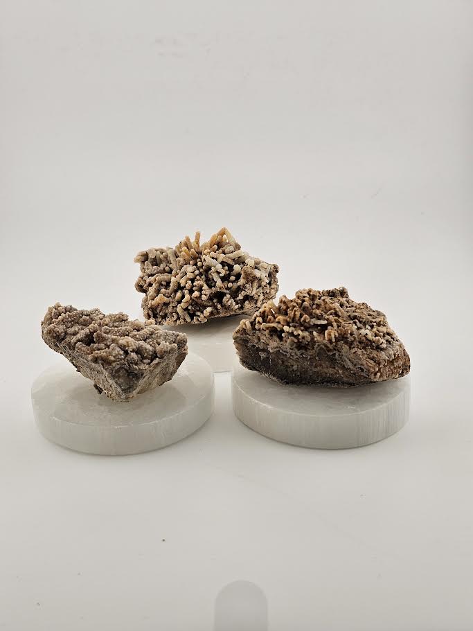 Aragonite Small Clusters - Morocco