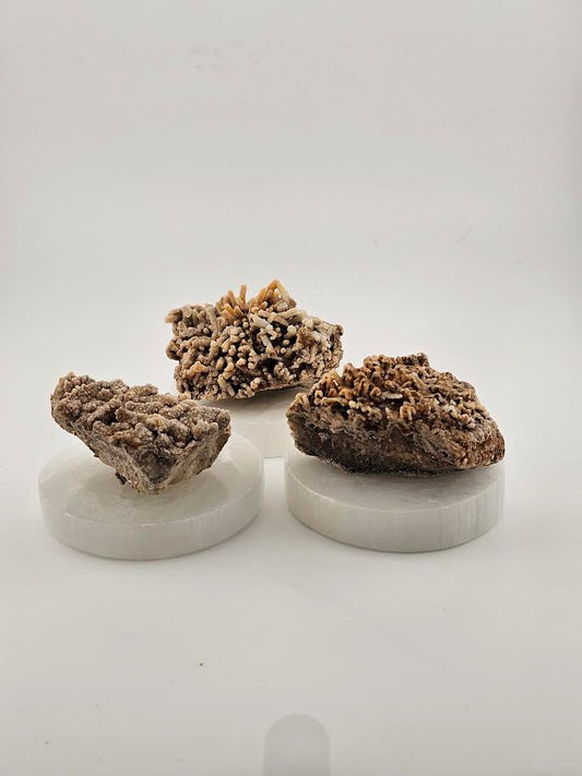 Aragonite Small Clusters - Morocco