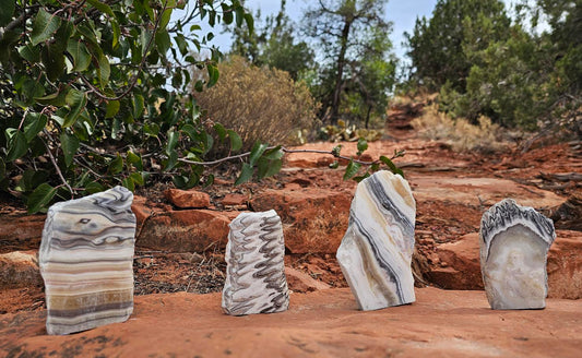 Black Zebra Calcite Slab