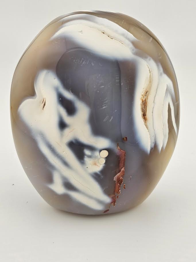 Orca Agate Free Form