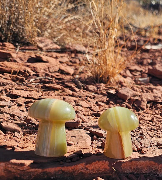 Green Onyx Mushroom