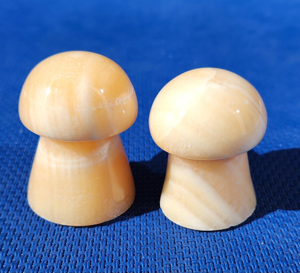 Mango Calcite Mushrooms