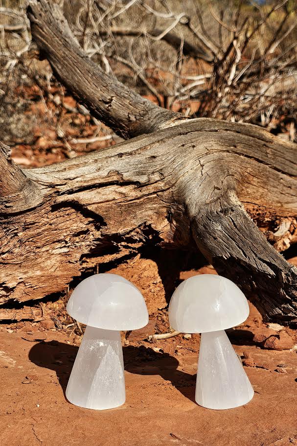 Selenite Mushroom